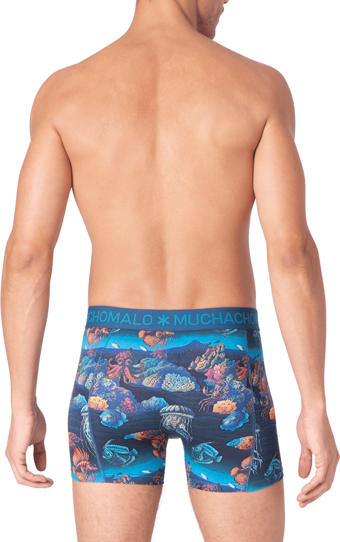 Muchachomalo Boxershorts 3-Pack Multicolor Divers