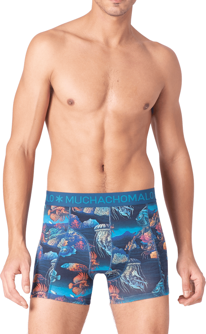 Muchachomalo Boxershorts 3-Pack Multicolor Divers