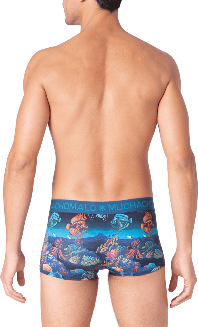 Muchachomalo Muchachomalo Divers