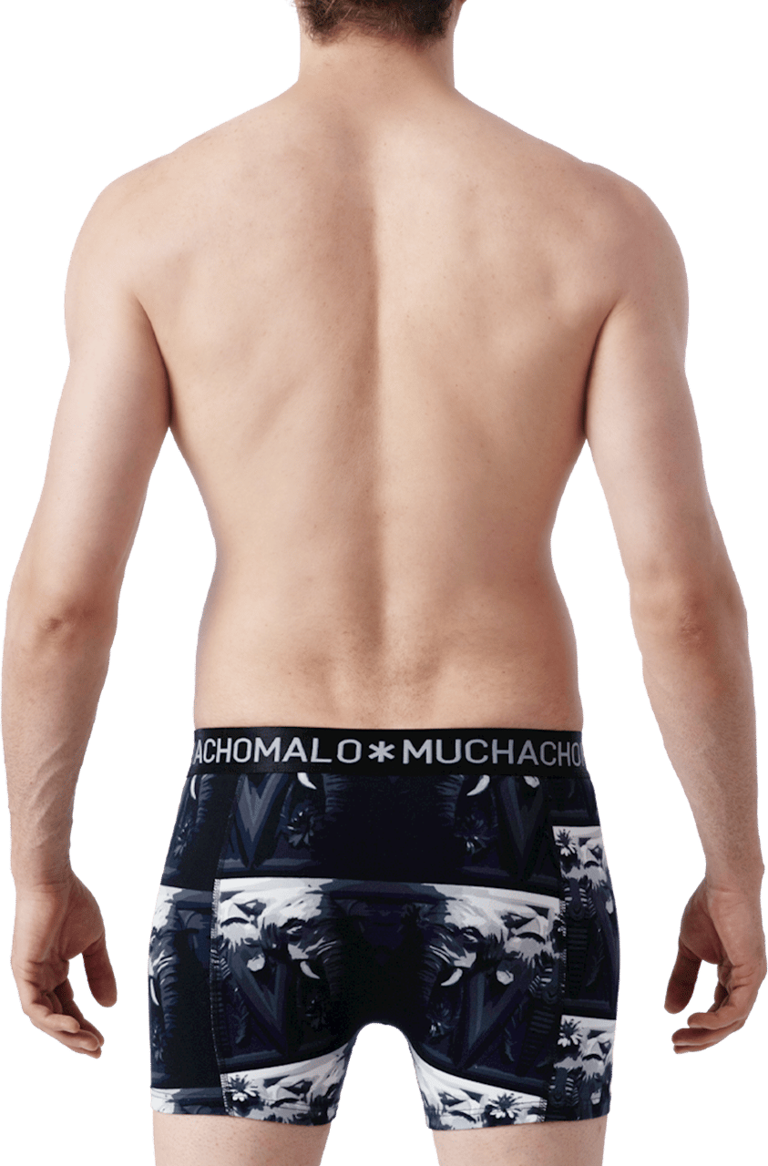 Muchachomalo Muchachomalo Divers