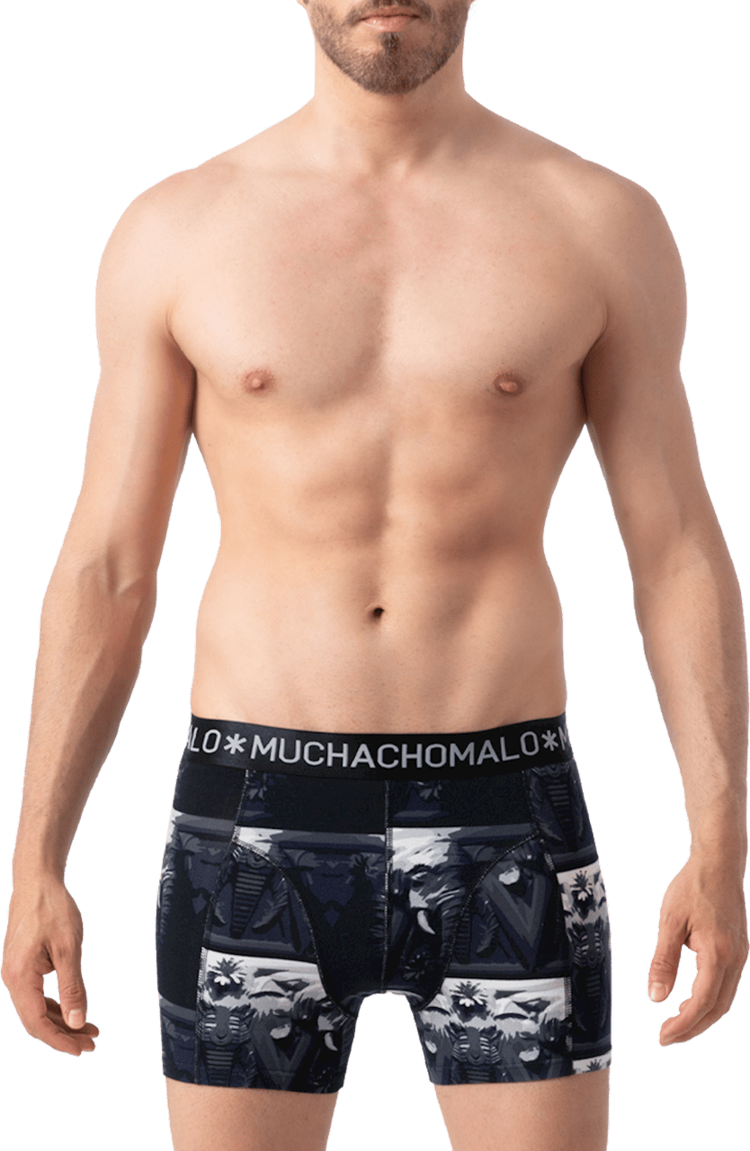 Muchachomalo Muchachomalo Divers