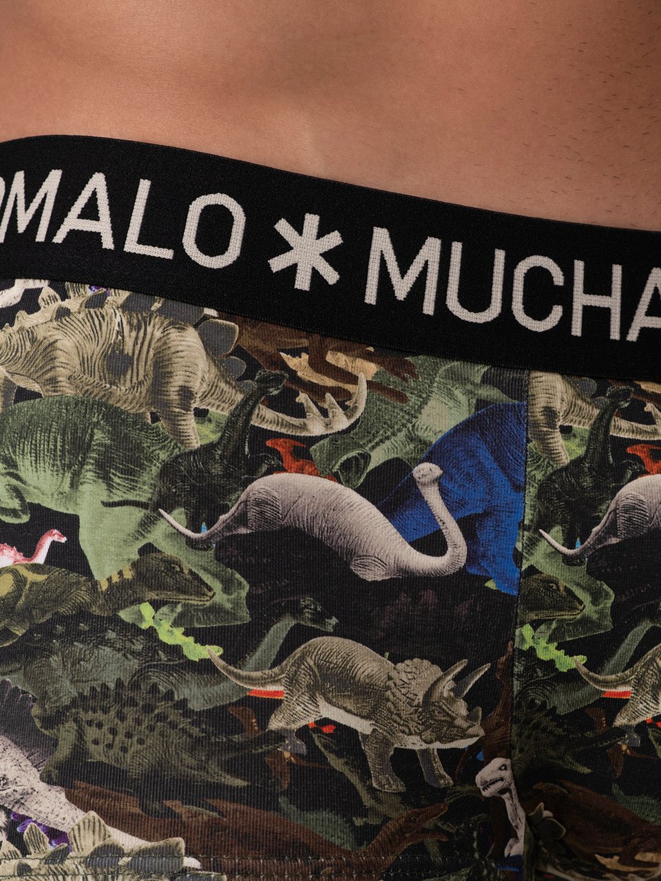 Muchachomalo Muchachomalo Divers