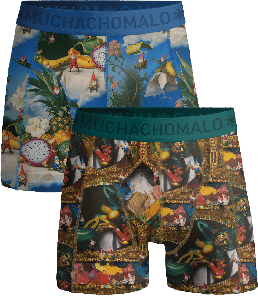 Muchachomalo Boxershorts 2-Pack Multicolor Divers