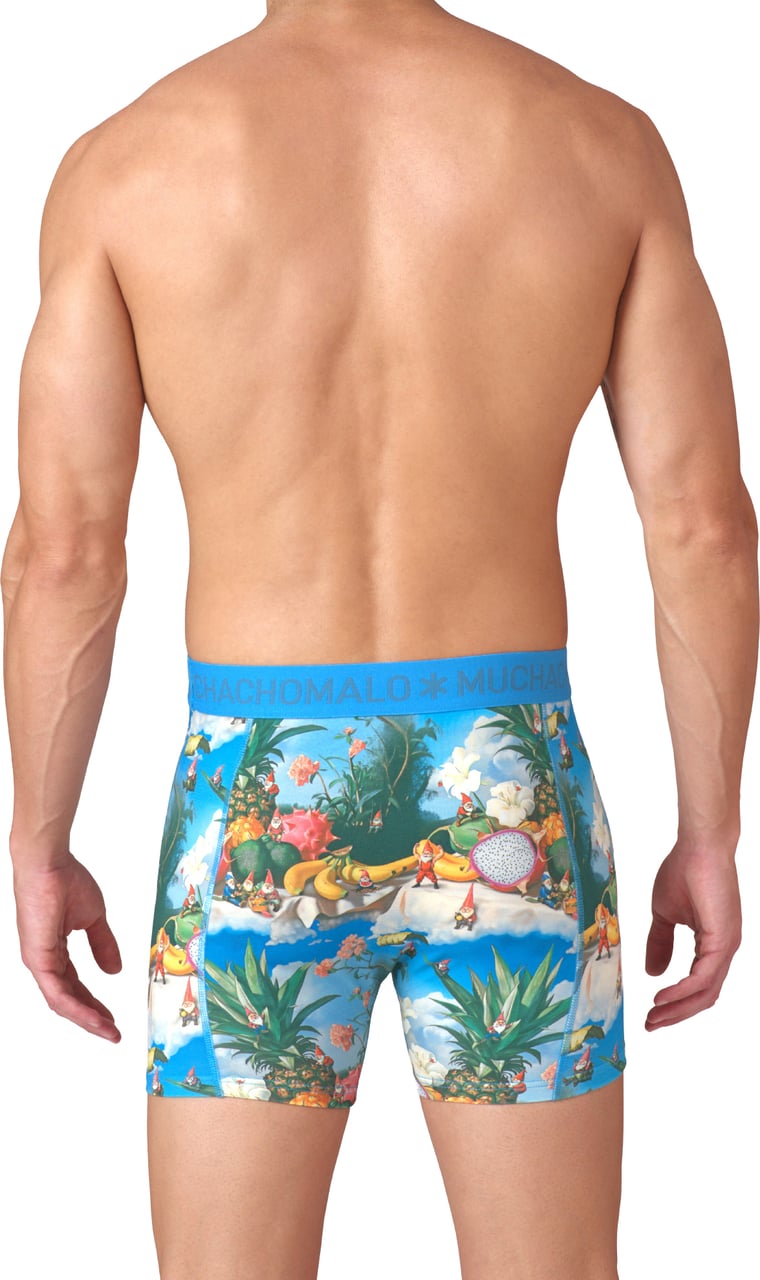 Muchachomalo Boxershorts 2-Pack Multicolor Divers