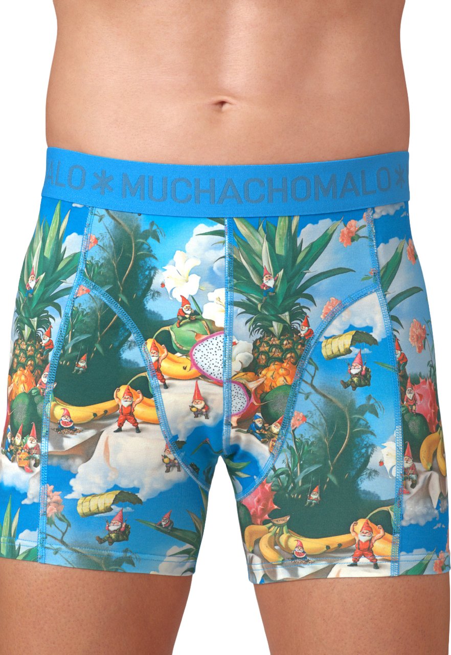Muchachomalo Boxershorts 3-Pack Multicolor Divers