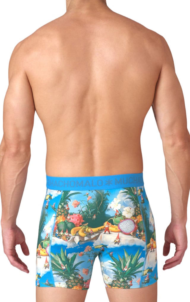Muchachomalo Boxershorts 3-Pack Multicolor Divers