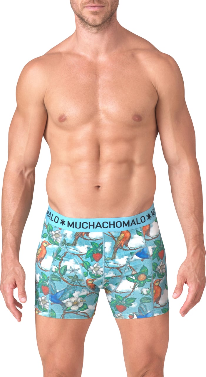 Muchachomalo Boxershorts 2-Pack Multicolor Divers
