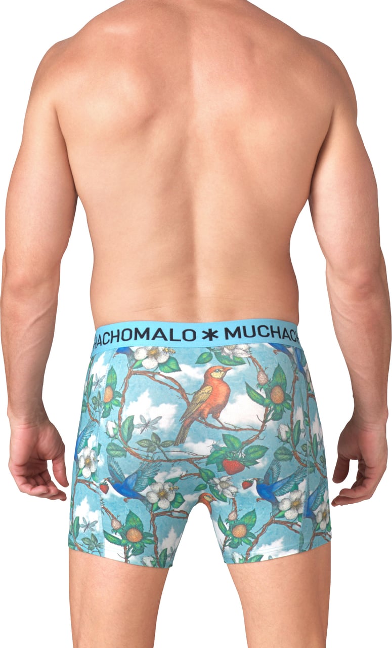 Muchachomalo Boxershorts 2-Pack Multicolor Divers