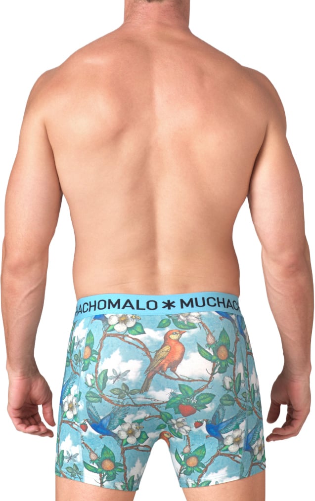 Muchachomalo Boxershorts 3-Pack Multicolor Divers