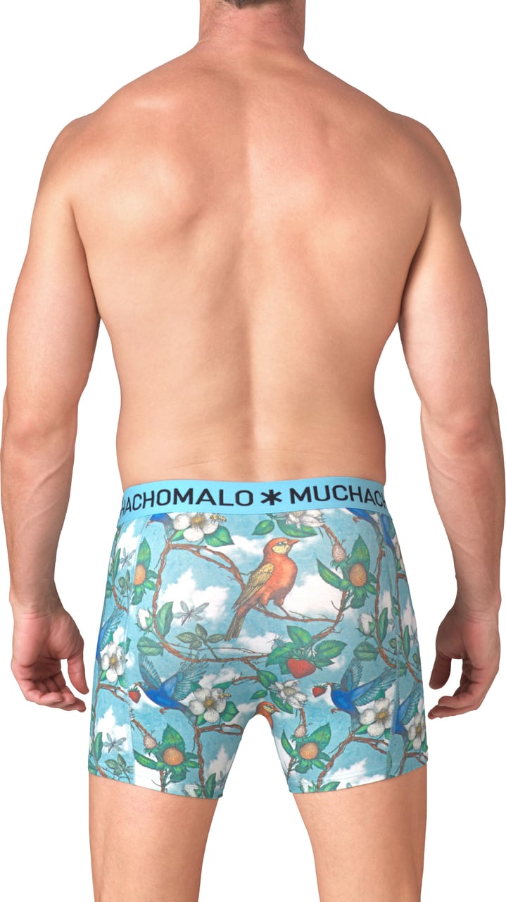 Muchachomalo Boxershorts 3-Pack Multicolor Divers
