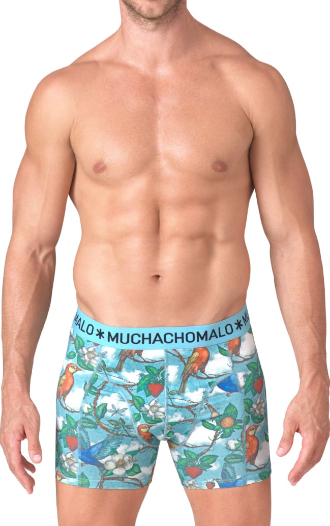 Muchachomalo Boxershorts 3-Pack Multicolor Divers