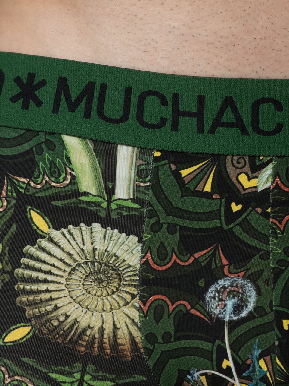 Muchachomalo Muchachomalo Divers