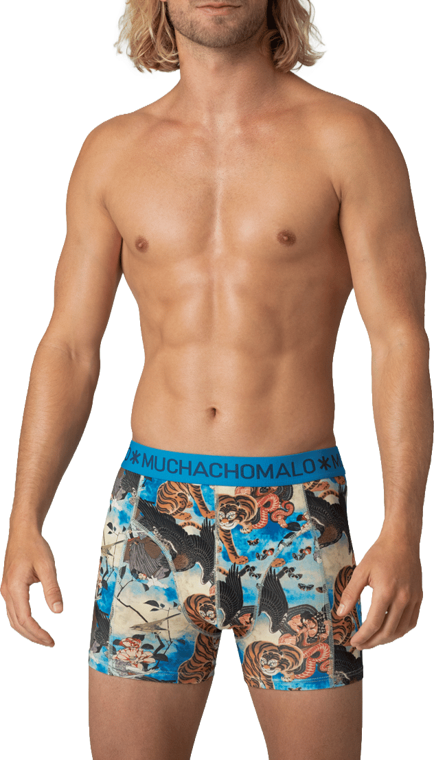 Muchachomalo Boxershorts 3-Pack Multicolor Divers