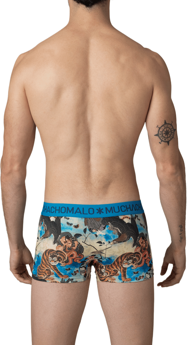 Muchachomalo Muchachomalo Divers