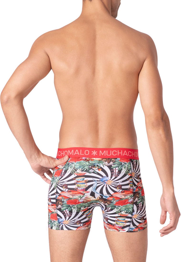 Muchachomalo Boxershorts 2-Pack Multicolor Divers