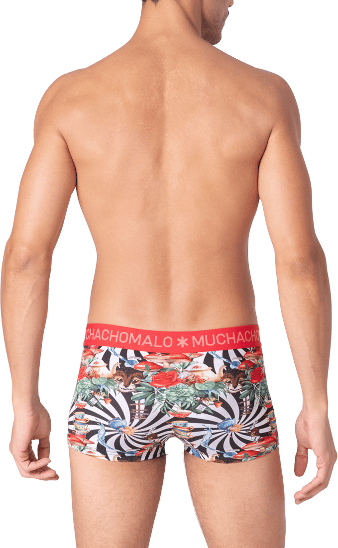 Muchachomalo Muchachomalo Divers