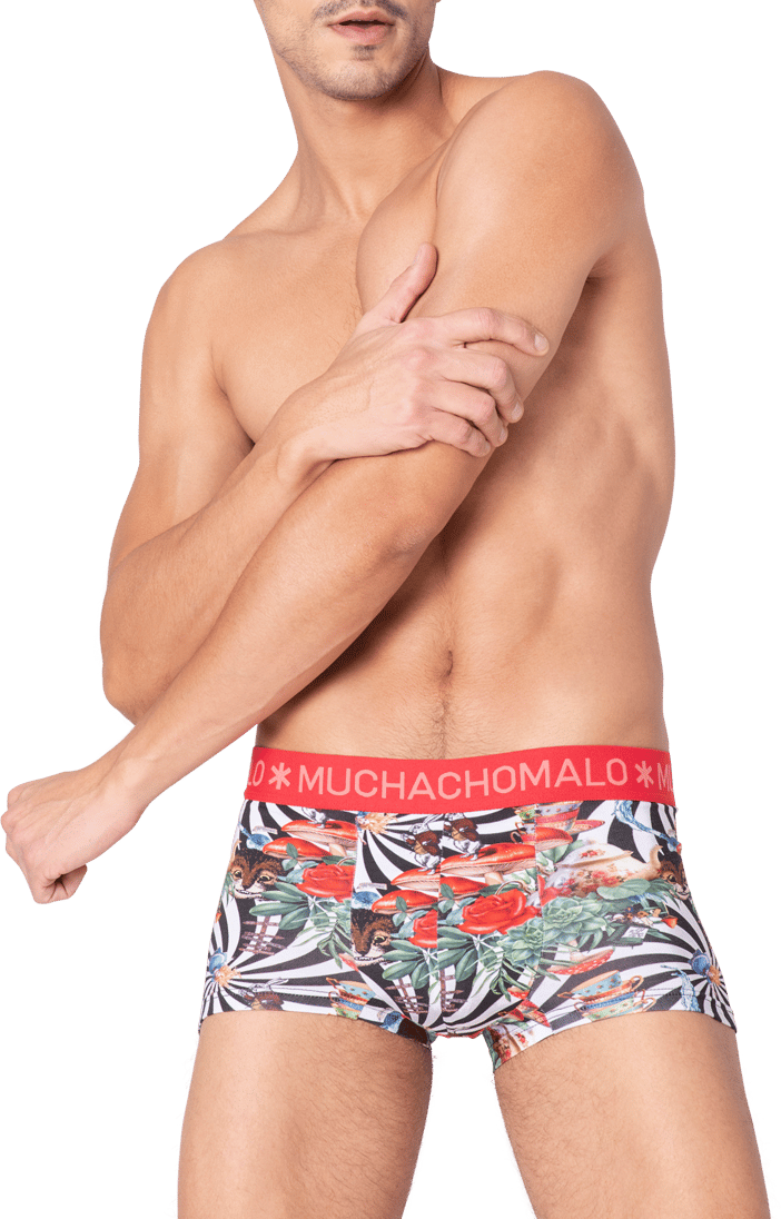 Muchachomalo Muchachomalo Divers