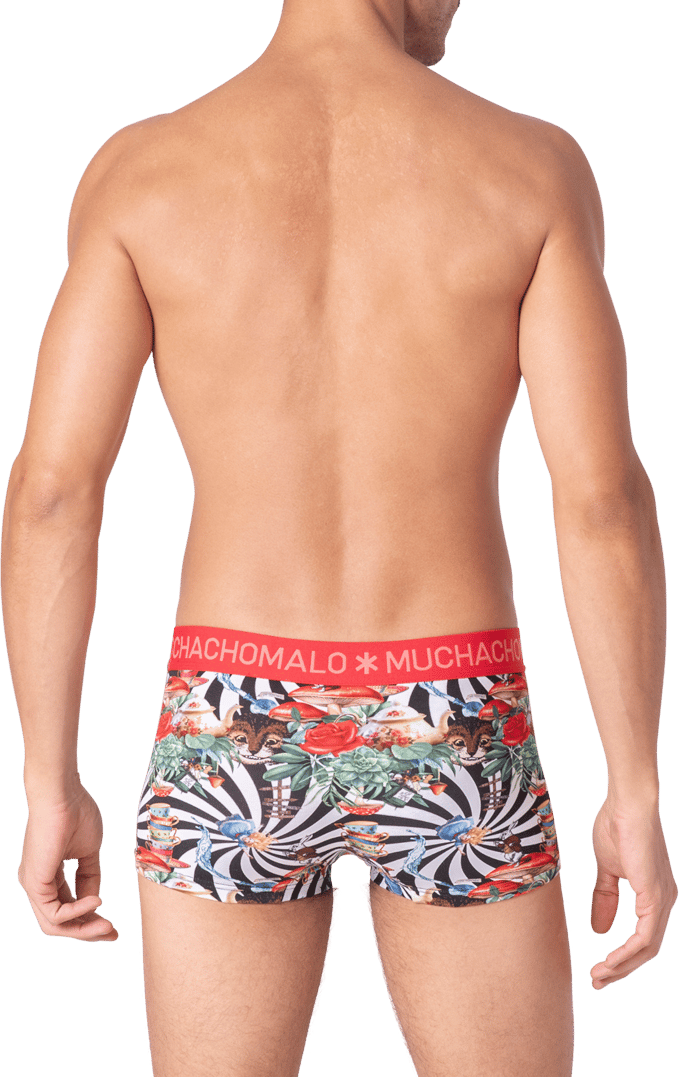 Muchachomalo Muchachomalo Divers