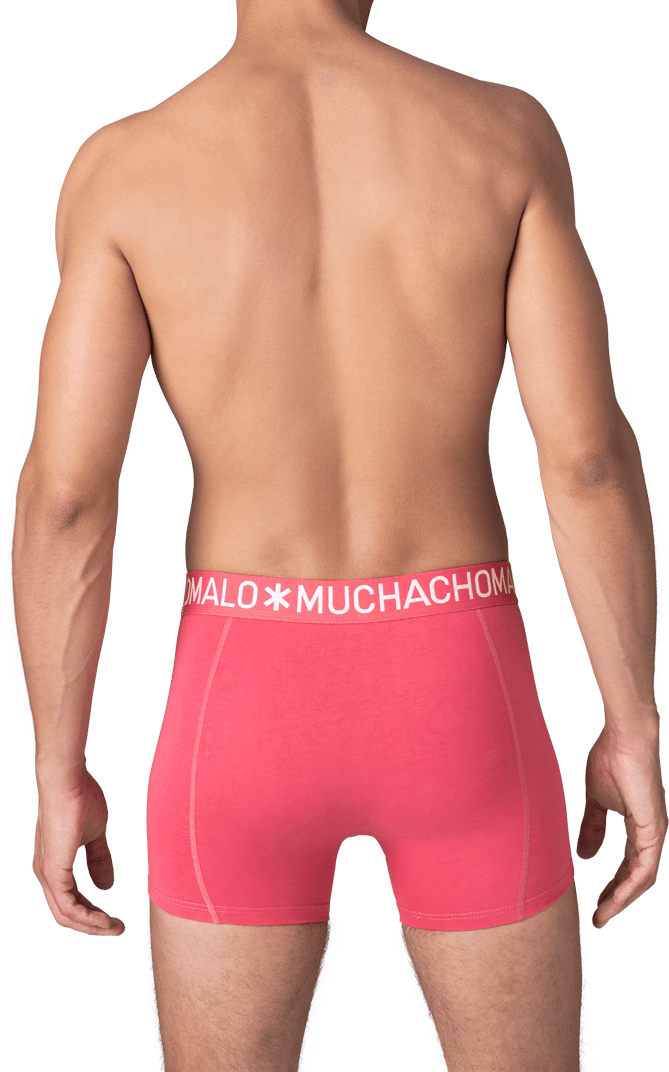 Muchachomalo Muchachomalo Divers