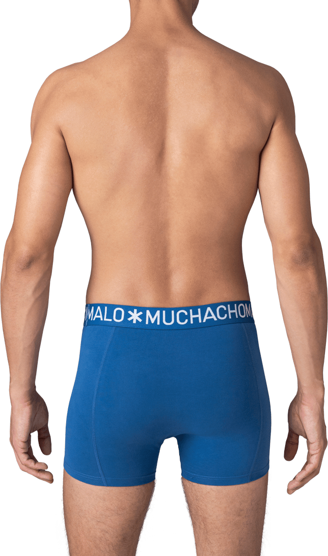 Muchachomalo Muchachomalo Divers