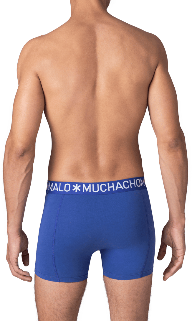 Muchachomalo Muchachomalo Divers