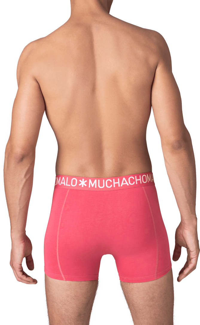 Muchachomalo Muchachomalo Divers