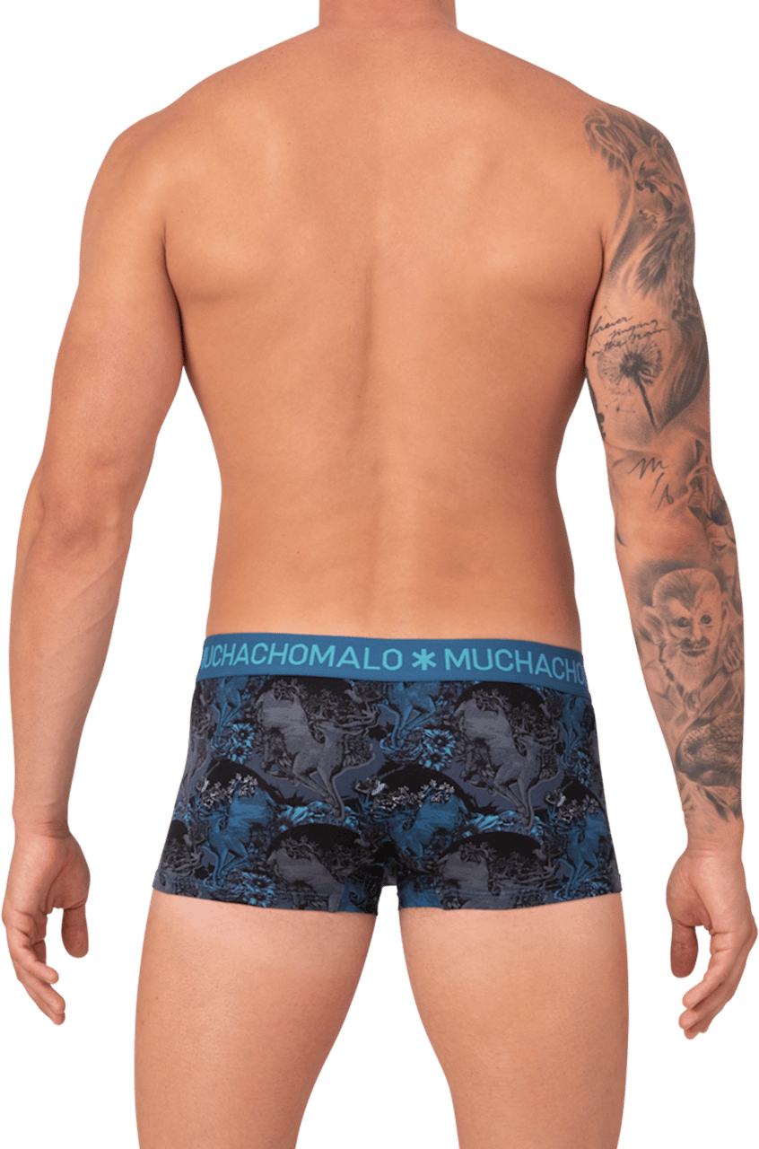 Muchachomalo Muchachomalo Divers