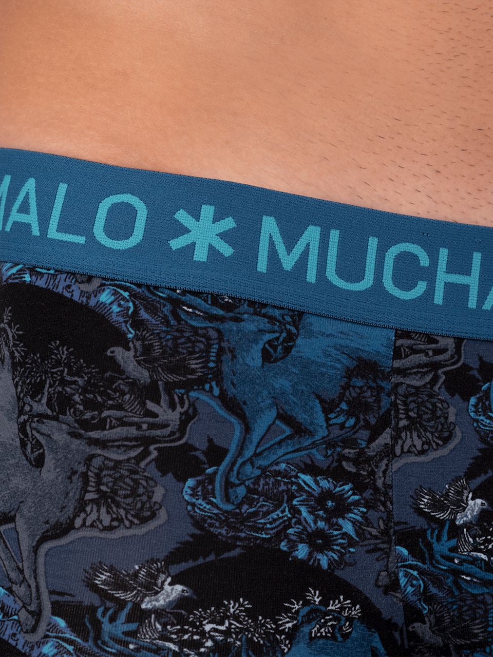 Muchachomalo Muchachomalo Divers