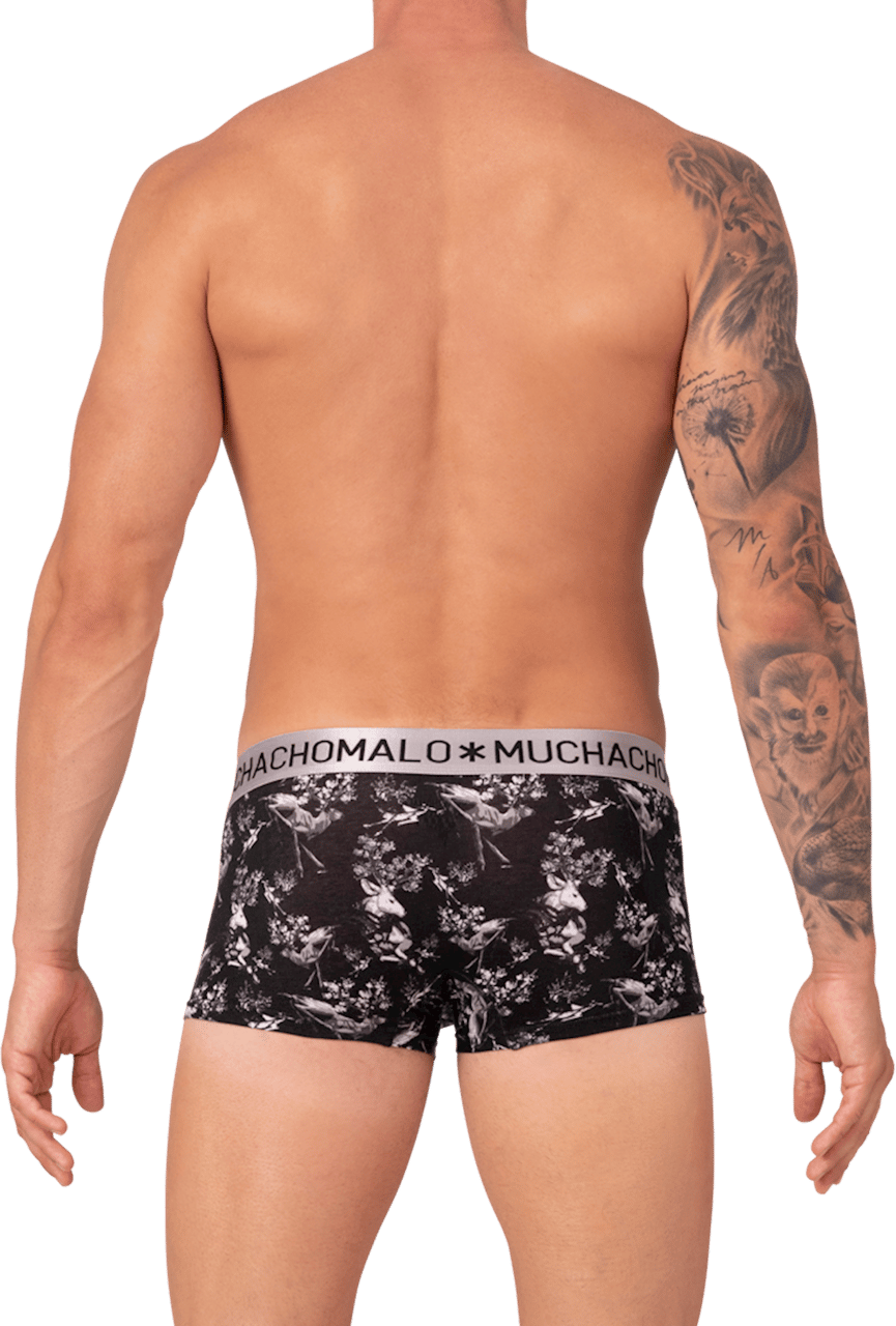 Muchachomalo Muchachomalo Divers