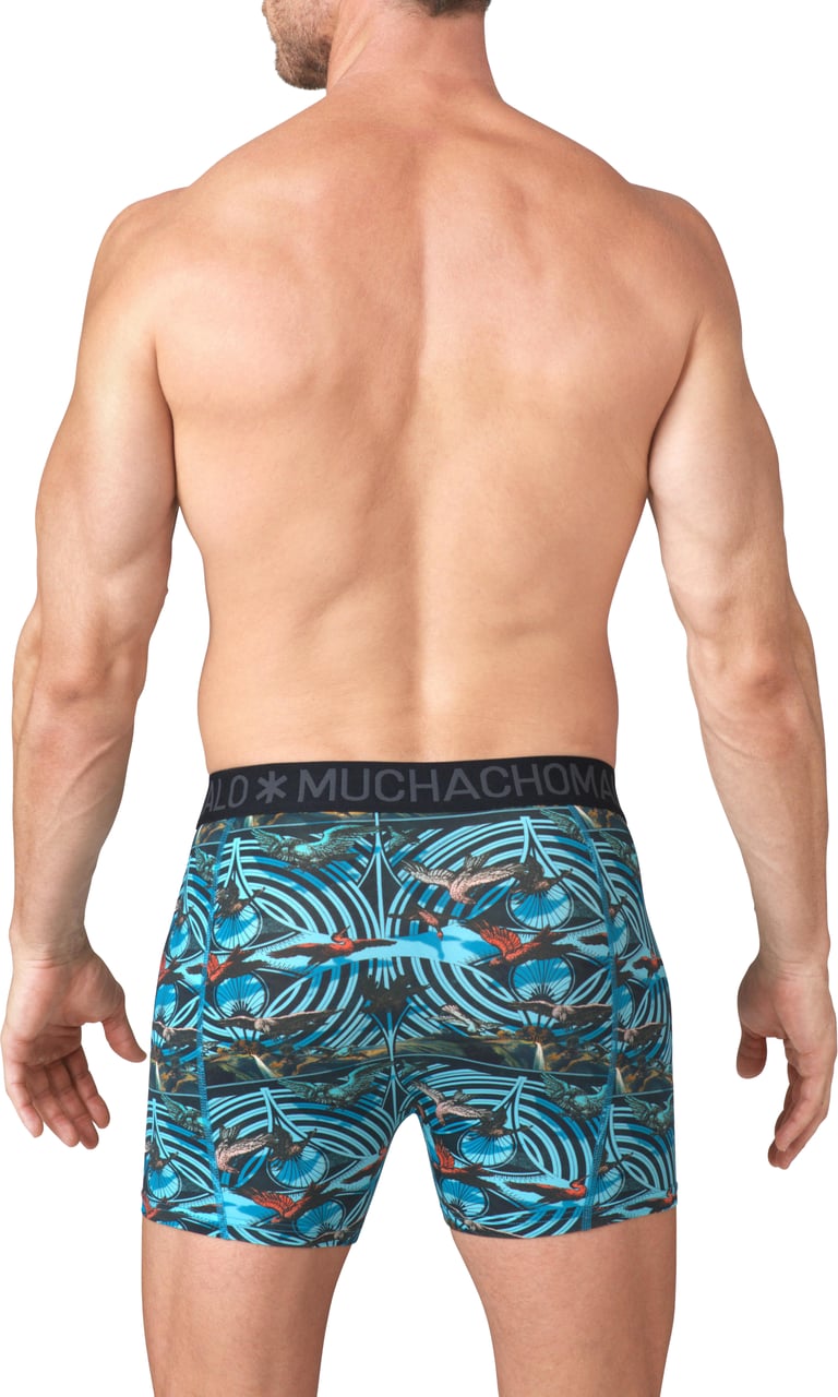 Muchachomalo Muchachomalo Divers