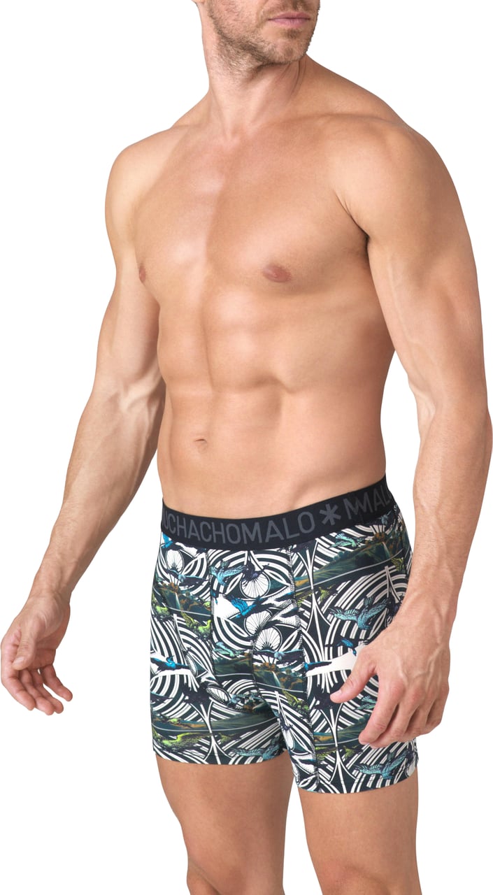 Muchachomalo Muchachomalo Divers