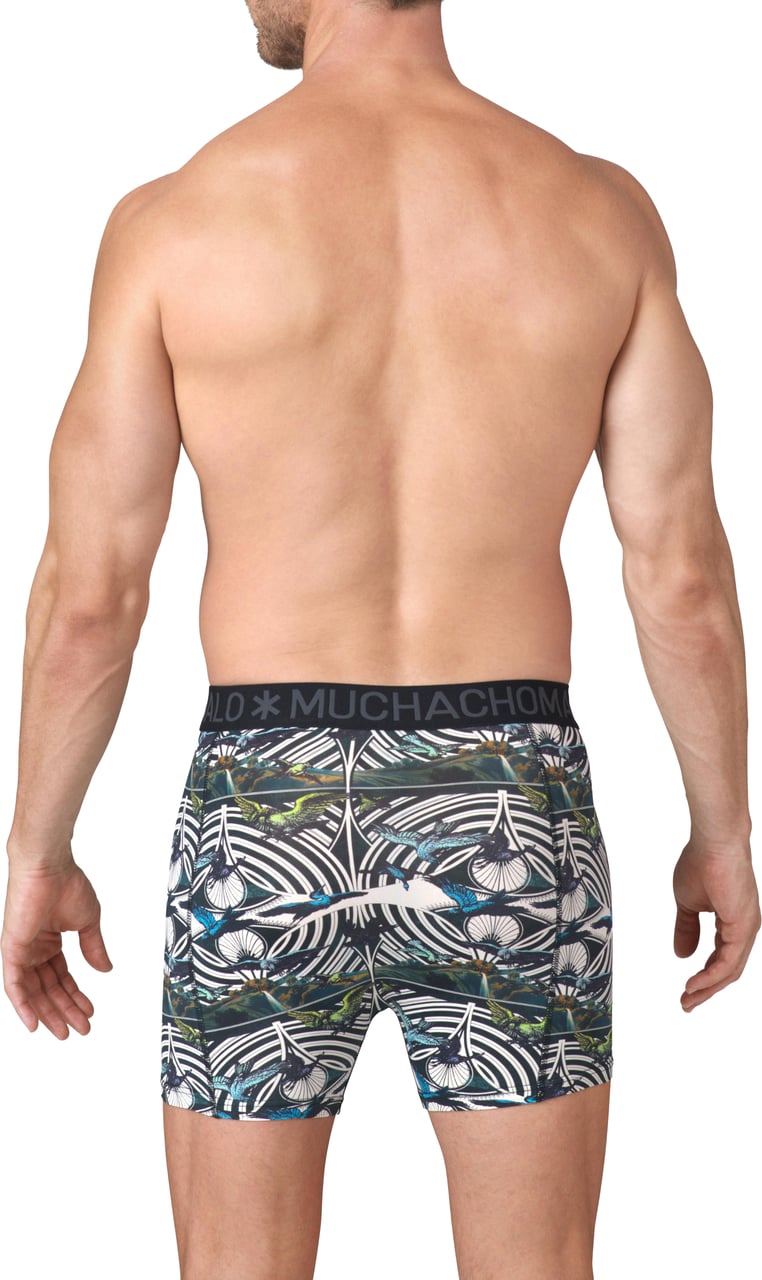 Muchachomalo Muchachomalo Divers