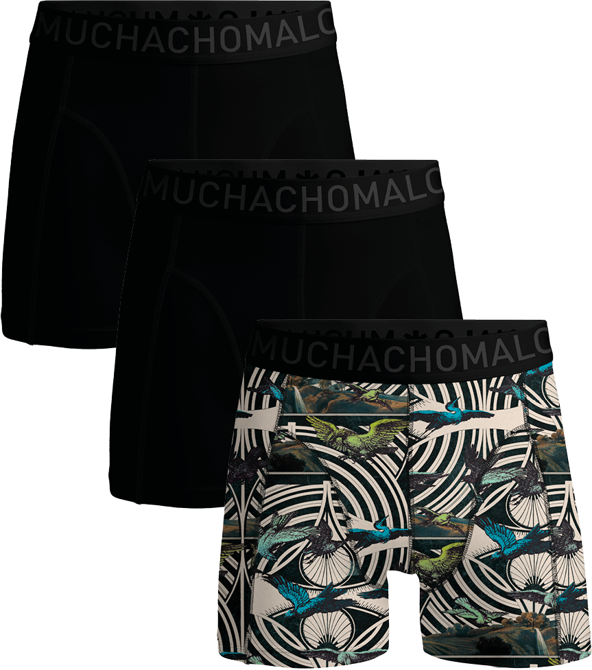 Muchachomalo Muchachomalo Divers