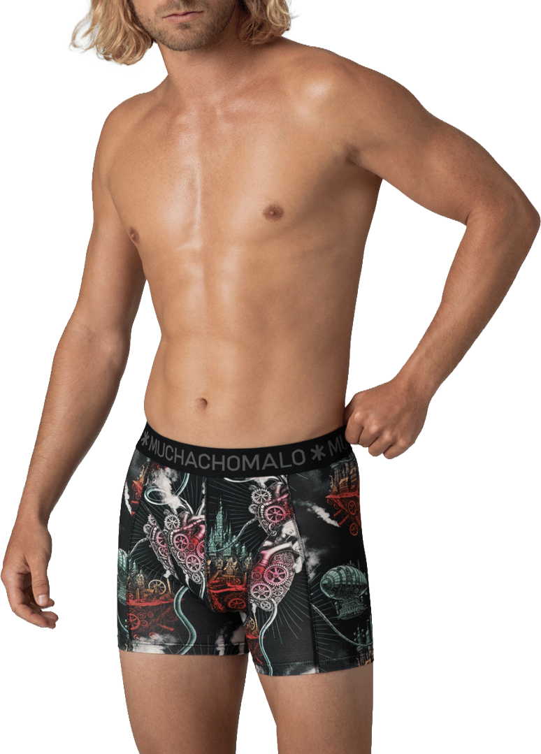 Muchachomalo Boxershorts 2-Pack Multicolor Divers