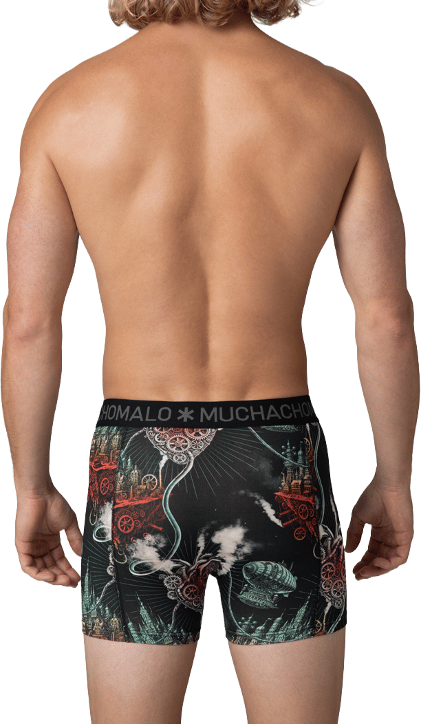 Muchachomalo Boxershorts 2-Pack Multicolor Divers