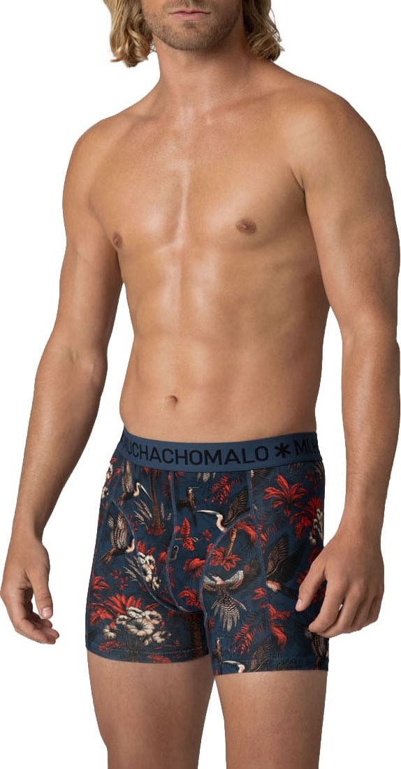 Muchachomalo Boxershorts 3-Pack Multicolor Divers