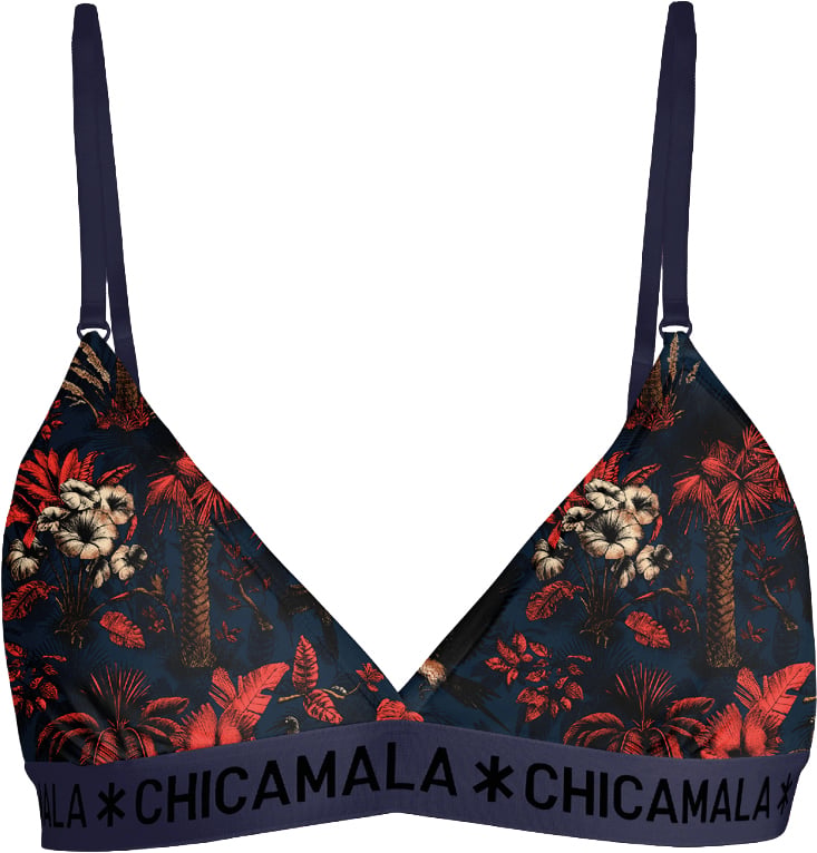 Muchachomalo Chicamala BH. Divers