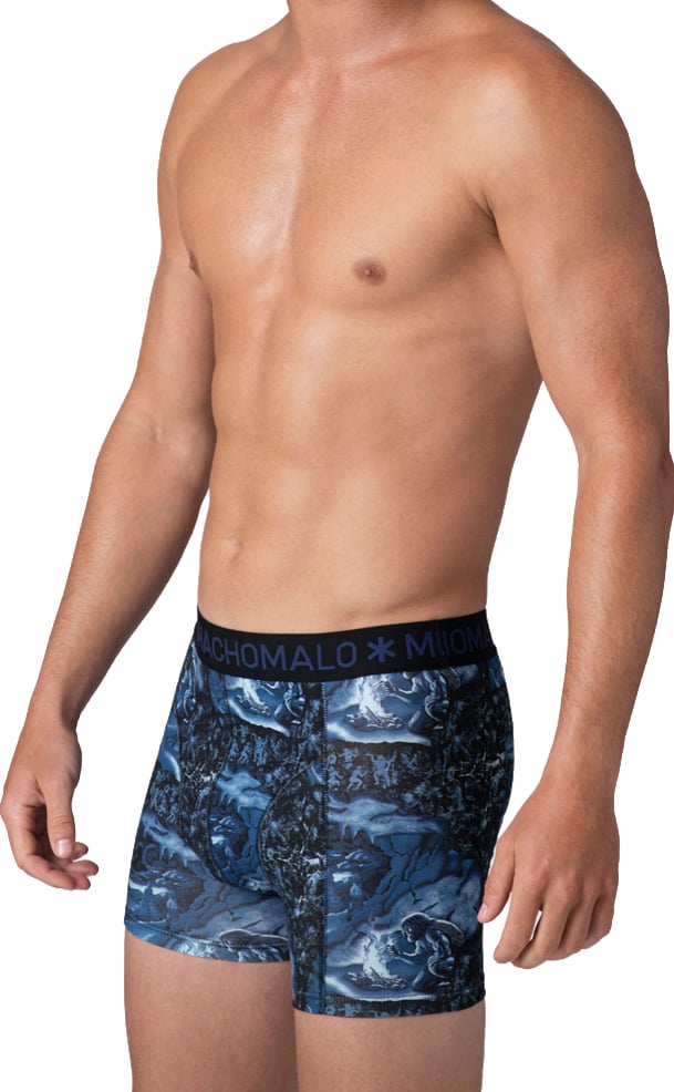 Muchachomalo Boxershorts 2-Pack Multicolor Divers