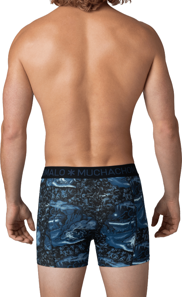 Muchachomalo Boxershorts 3-Pack Multicolor Divers