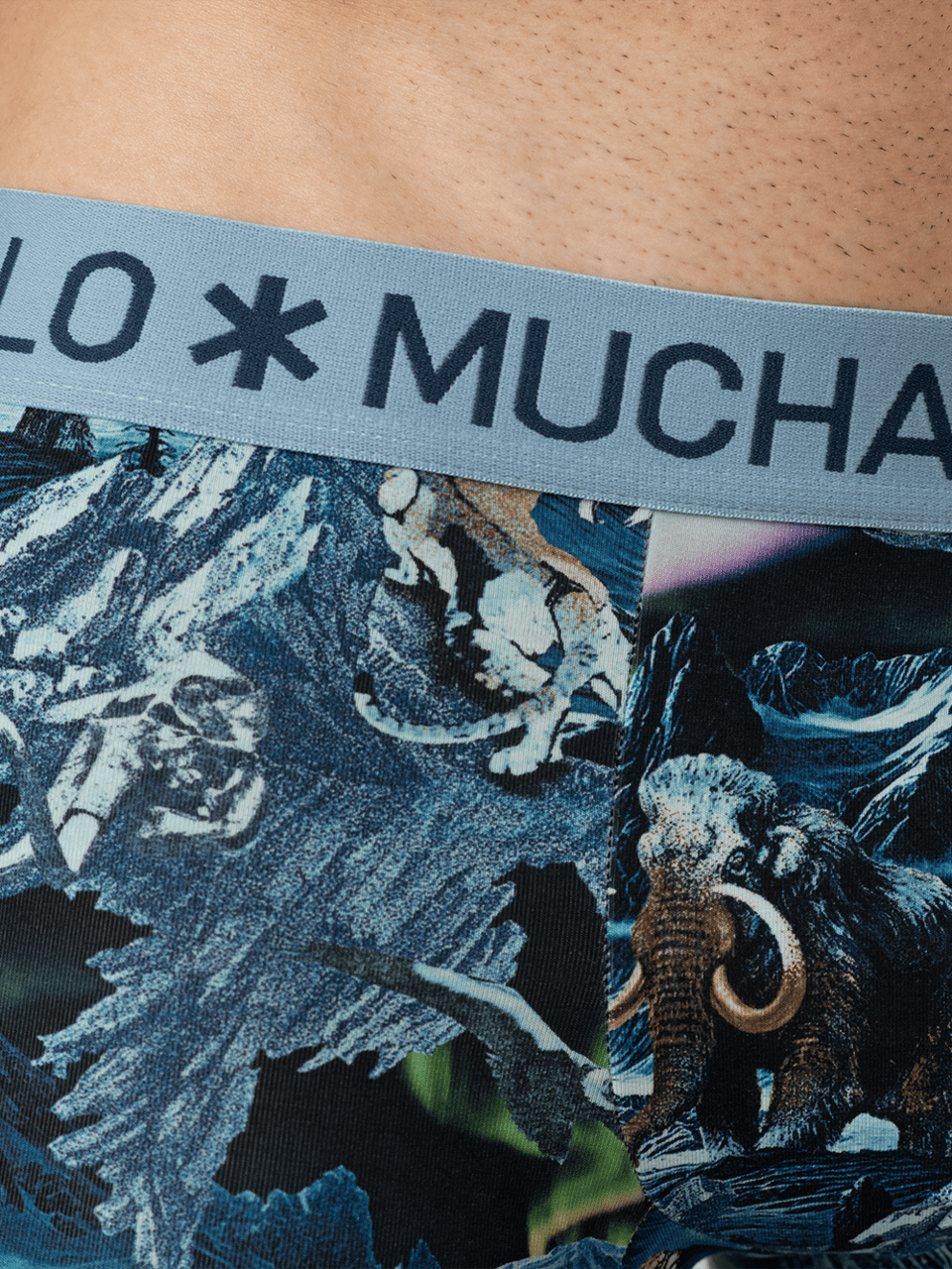 Muchachomalo Muchachomalo Divers