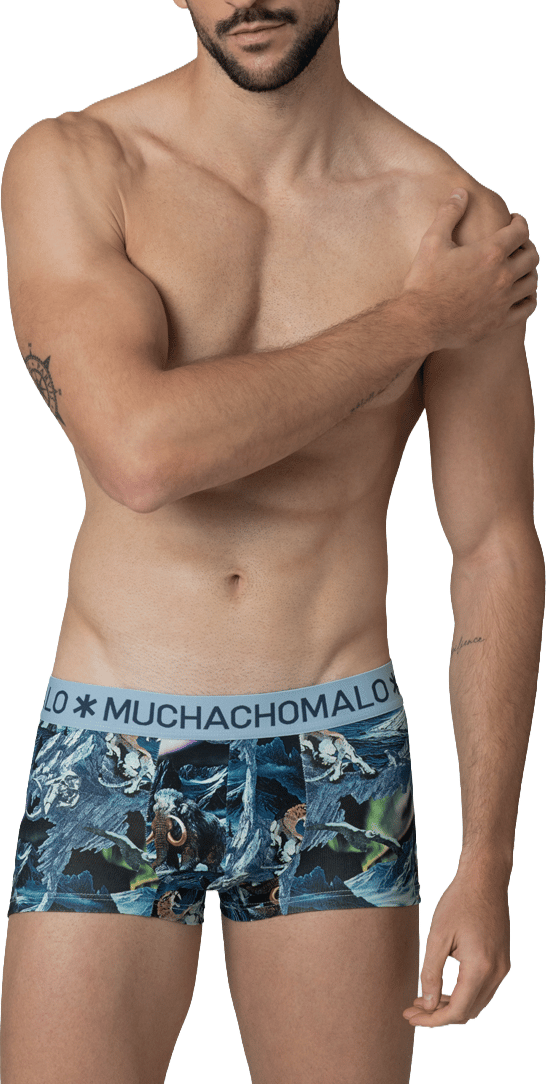 Muchachomalo Muchachomalo Divers