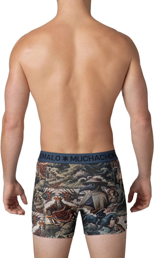 Muchachomalo Boxershorts 2-Pack Multicolor Divers