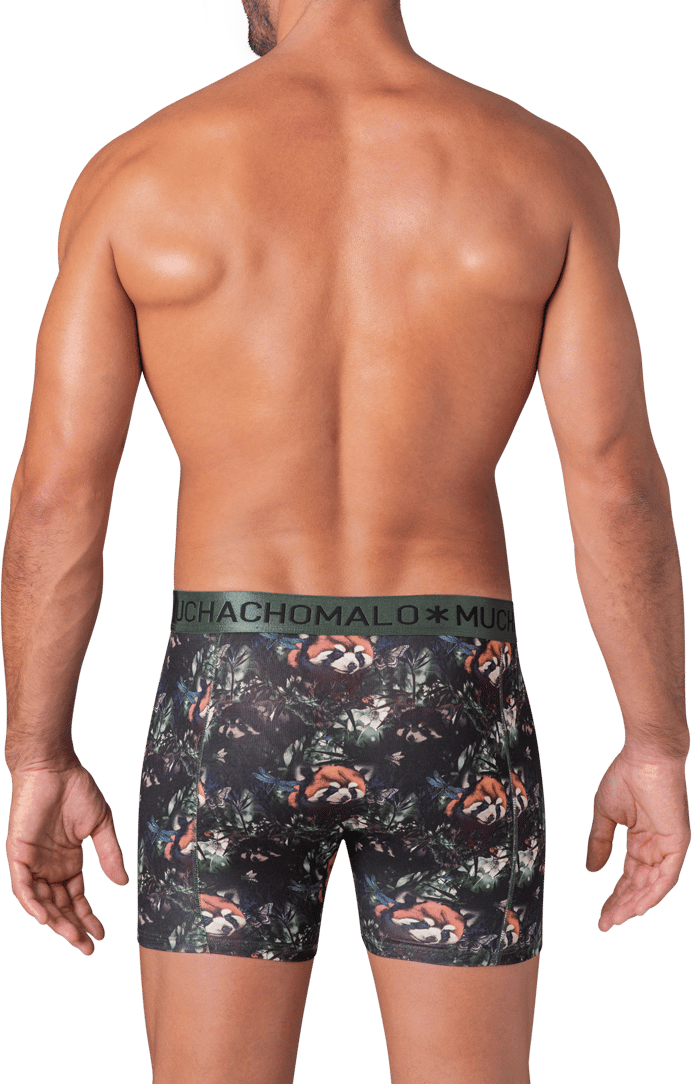 Muchachomalo Muchachomalo Divers