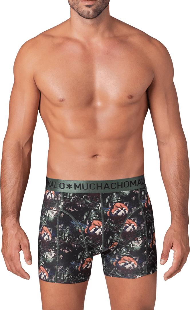 Muchachomalo Muchachomalo Divers