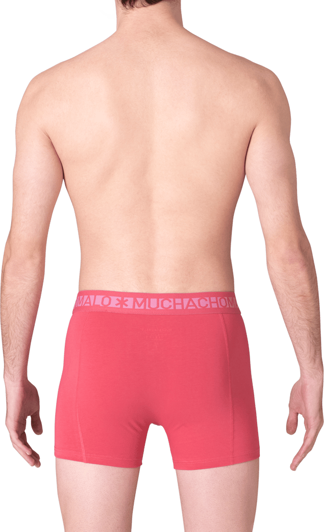 Muchachomalo Boxershorts 2-Pack Multicolor Divers