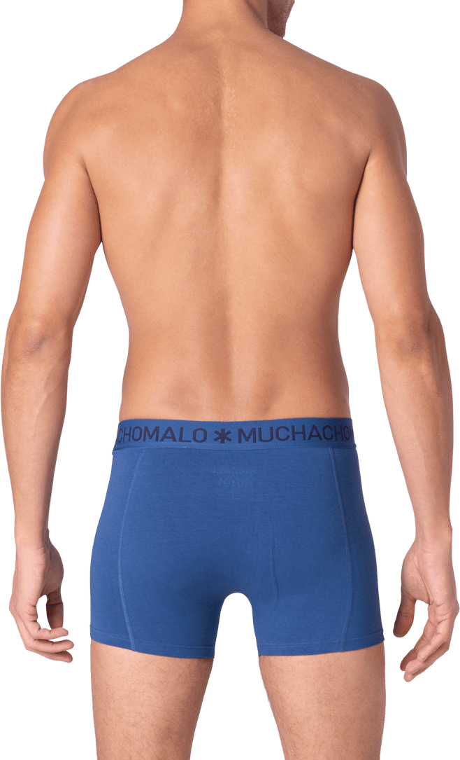 Muchachomalo Muchachomalo Divers