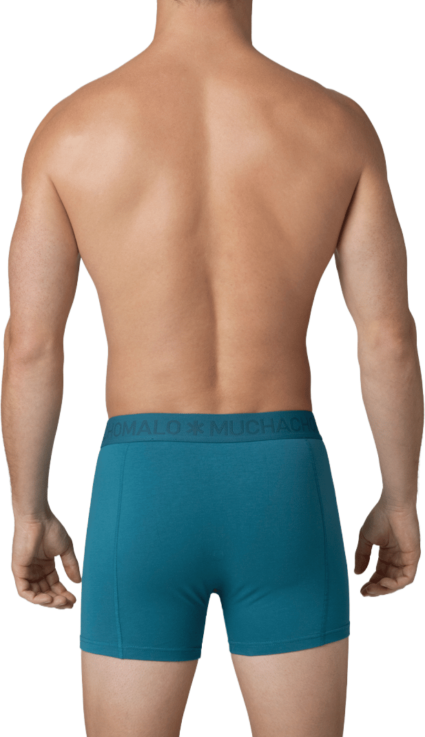 Muchachomalo Boxershorts 2-Pack Multicolor Divers