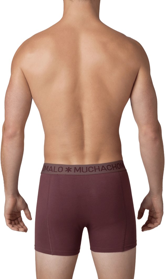 Muchachomalo Boxershorts 2-Pack Multicolor Divers