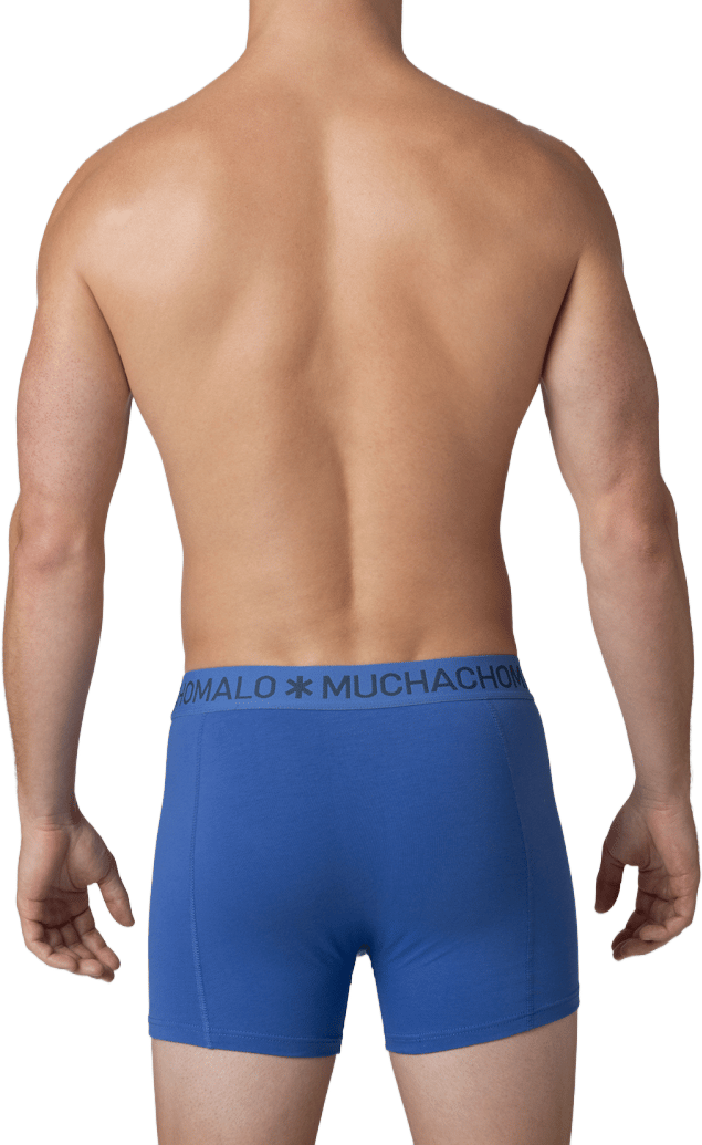 Muchachomalo Boxershorts 3-Pack Multicolor Divers
