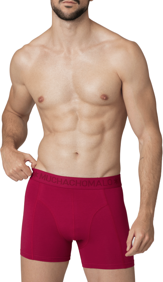 Muchachomalo Boxershorts 4-Pack Multicolor Divers